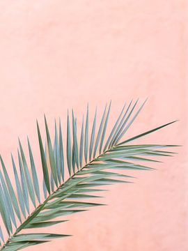 Pastel en Palmblad | Marokko van Marika Huisman fotografie