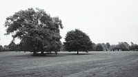 Stadspark