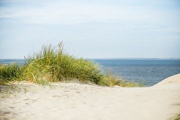 Helmgras kijkend over het strand van Nicole Nagtegaal