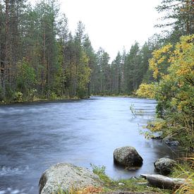 Stroomversnelling bij het meer Hypäs in Finland. van Carin van der Aa