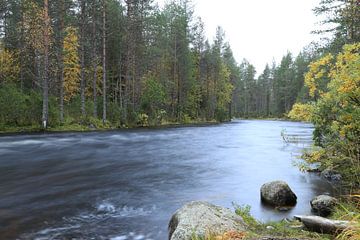 Stroomversnelling bij het meer Hypäs in Finland. van Carin van der Aa