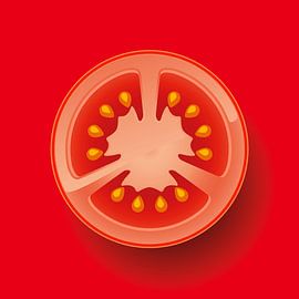 Solanum Lycopersicum
