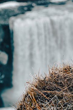 IJsland Dettifoss van Steffen Koch