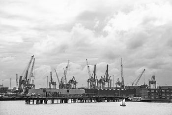 Die Hafenkrane von Rotterdam.