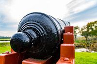 Medieval cannon
