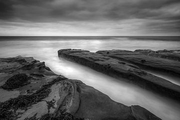 A Harmony Of Black and White by Joseph S Giacalone Photography