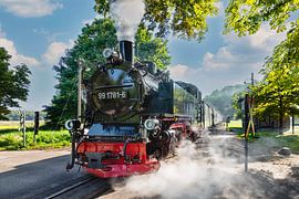 Historische Eisenbahn Rasender Roland auf Rügen von Markus Lange