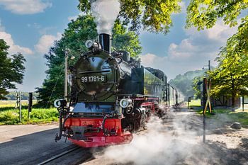 Historische Eisenbahn Rasender Roland auf Rügen