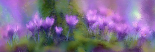 Violette Krokusse – Violett und Dunkelgrün im Wald von Whale & Sons