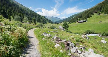 idyllisch wandelpad Dischma vallei bij Davos van SusaZoom