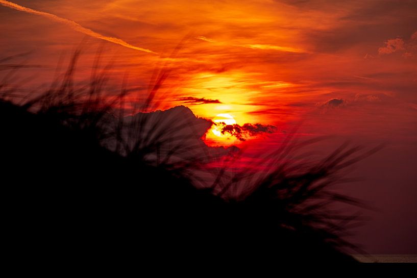 Sunset by Lisa Dumon
