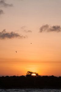 Zonsondergang op Zanzibar