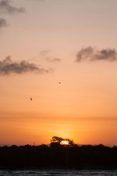 Zonsondergang op Zanzibar von Wesley Flaman
