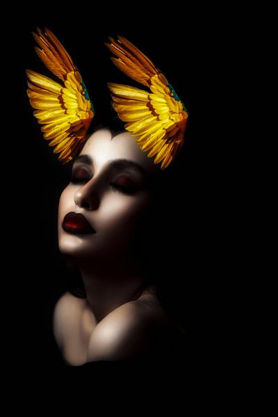 Fashionista by Truckpowerr