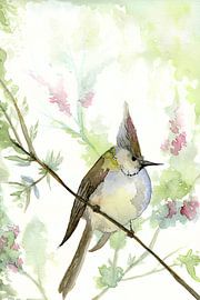 Haubenmeise von Esther  van den Dool