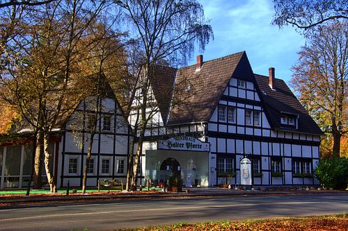 Restaurant Halter Gate