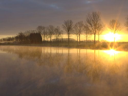 Golden sunrise