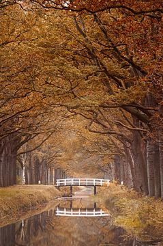 Paysage d'automne en Drenthe sur Dirk-Jan Steehouwer