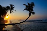 Sunrise on a paradisiacal dream beach