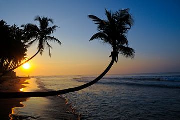 Lever de soleil sur une plage de rêve paradisiaque sur Andreas Kilian
