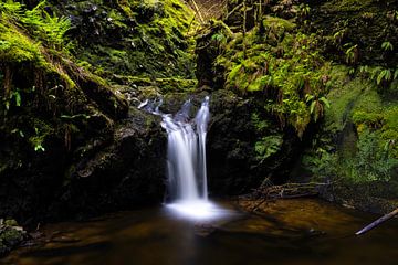 Puck's Glen sur Edwin Kooren