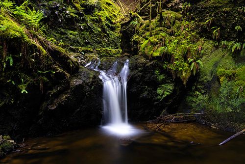 Puck's Glen by Edwin Kooren