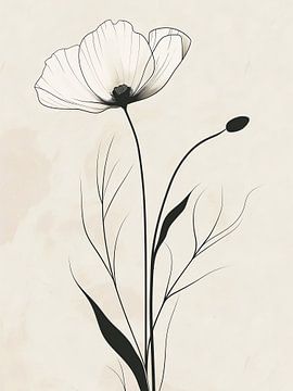 Fleur de pavot minimale en noir et blanc sur haroulita