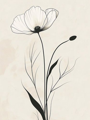 Minimal zwart wit klaproos bloem