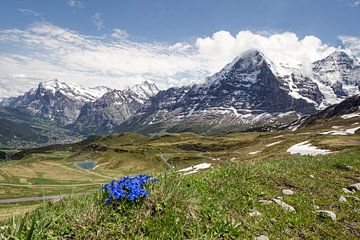 Zwitserse Alpen, bergen oa de Eiger van Gig-Pic by Sander van den Berg