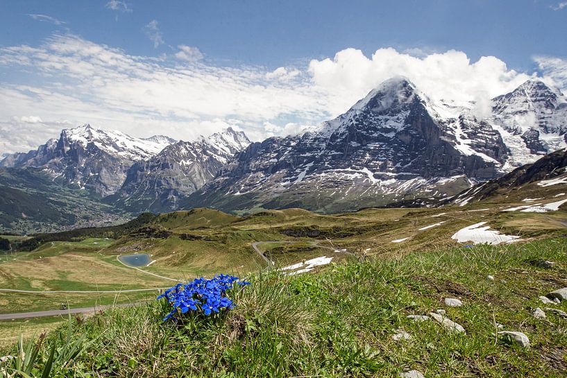 Swiss Alps, mountains including the Eiger by Gig-Pic by Sander van den Berg