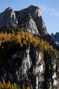 L'automne dans les Dolomites autrichiennes par Hidde Hageman Aperçu