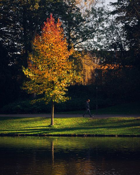 Groningen, Noorderplantsoen van Hessel de Jong Fotografie