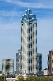 Zalmhavenentoren in Rotterdam, die Niederlande von Adelheid Smitt