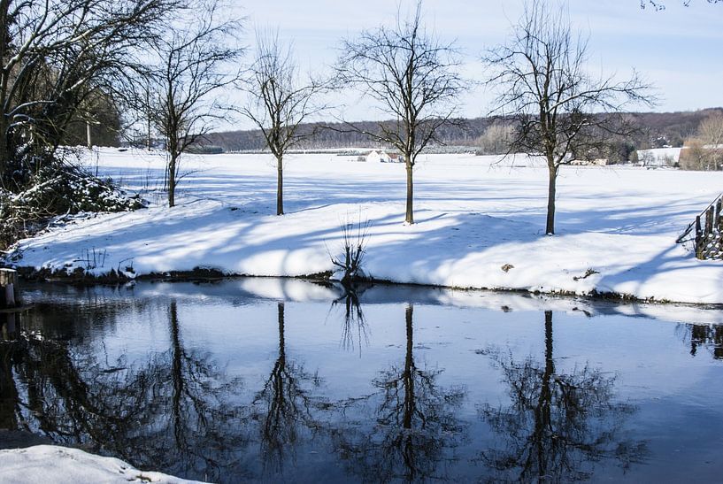Kleine vijver in de winter van Norbert Sülzner