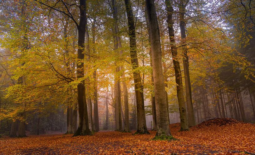 Immer weiter in den Herbst! von Marloes ten Brinke