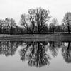 Mirror van Jenny de Groot