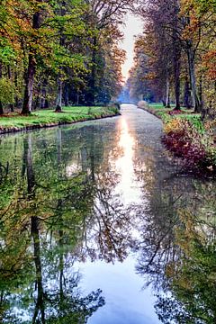 Kanal im Wald