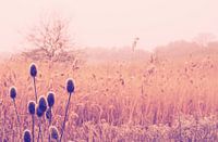 Warme herfststilte in het veld