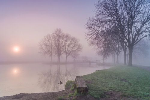 Zonsopkomst met mist!