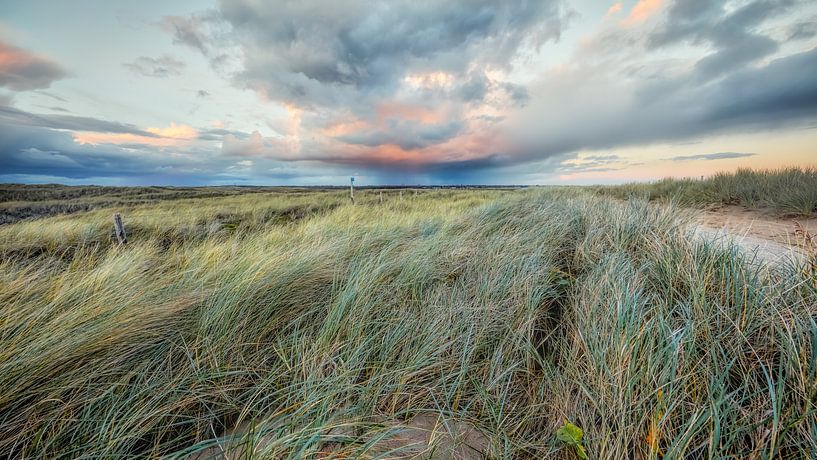 De l'air sombre au-dessus du paysage dunaire par eric van der eijkj