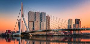 Rotterdam Skyline