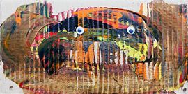 Crabe brun de Portland sur Tymn Lintell