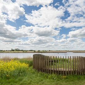 The Musing Bench in De Onlanden near Matsloot by R Smallenbroek