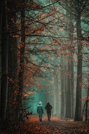 Randonnée à travers les couleurs de l'automne sur Rik Verslype