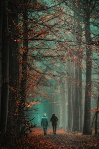 Wandern durch Herbstfarben