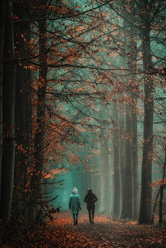 Wandelen door herfstkleuren
