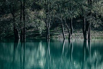 Reflecties in de natuur van Eloise Mavian