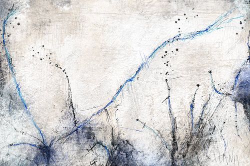 Fragile Continuum von Tanja Kooymans