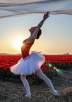 Ballerina to heaven