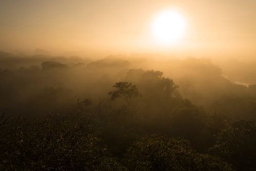 Sunrise Pantanal, Brazil
